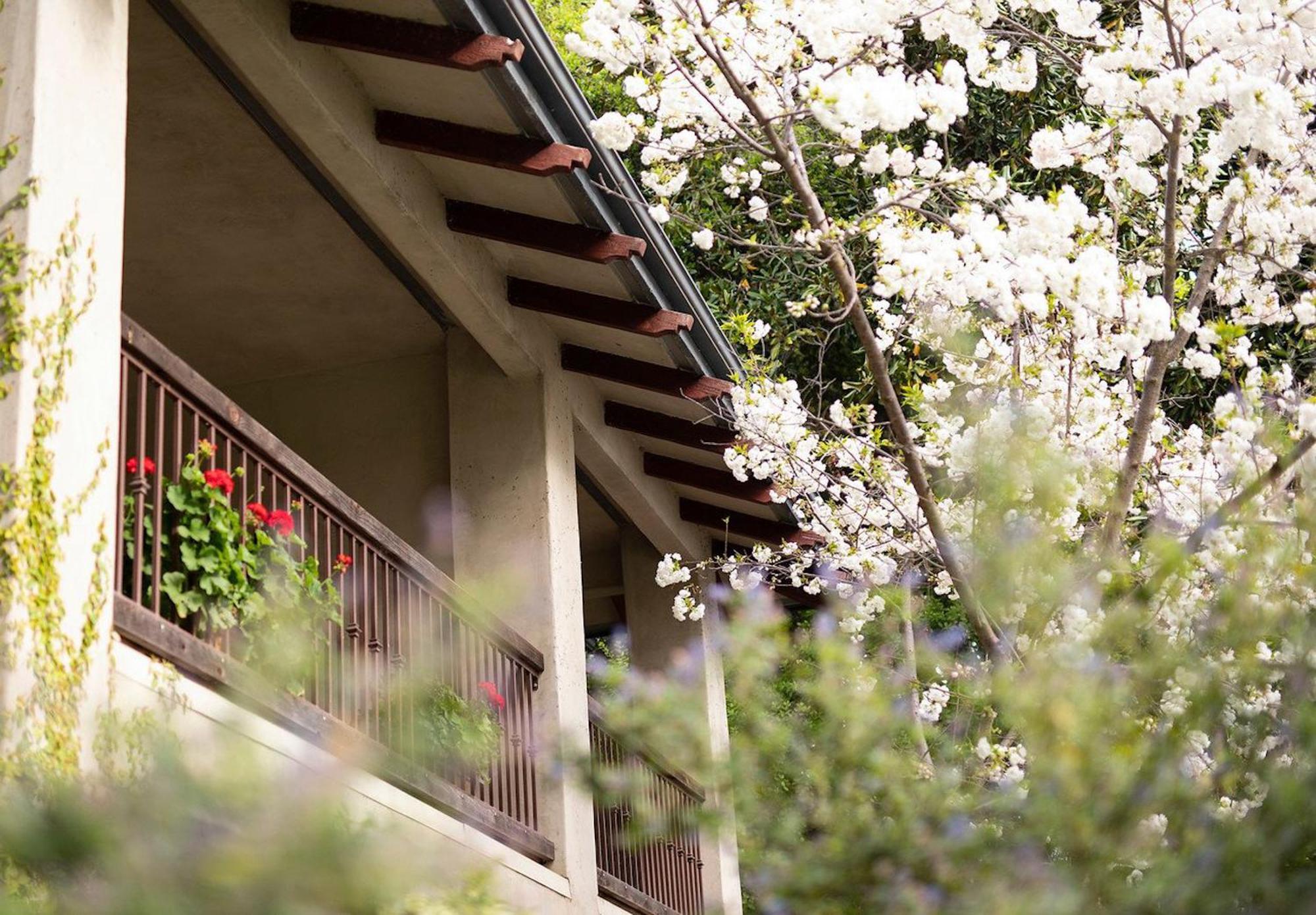 Wine&Roses Hotel Restaurant Spa Lodi Exterior foto